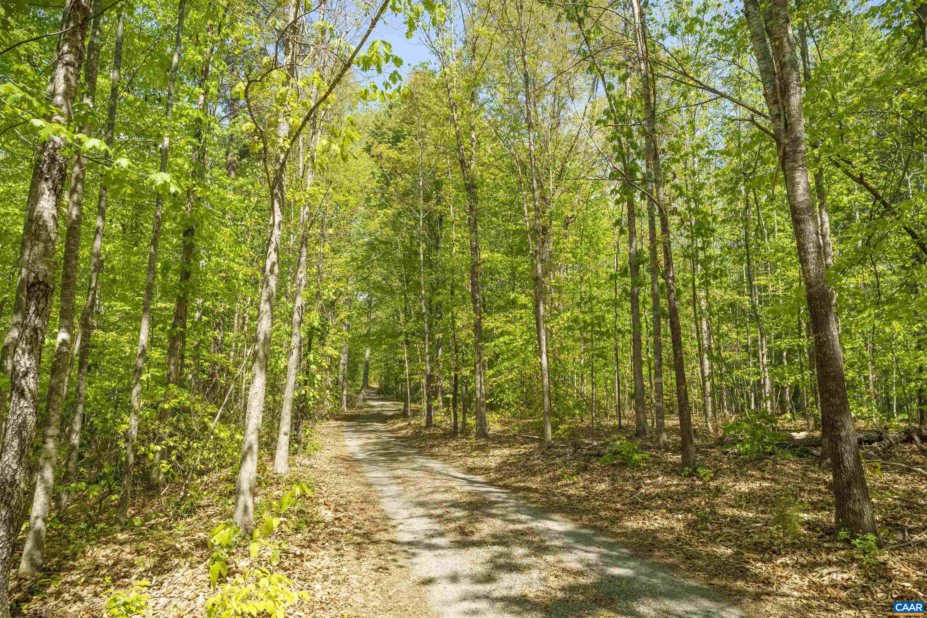 7530 Damon Road Schuyler, VA 22969 - Photo 57 of 72
