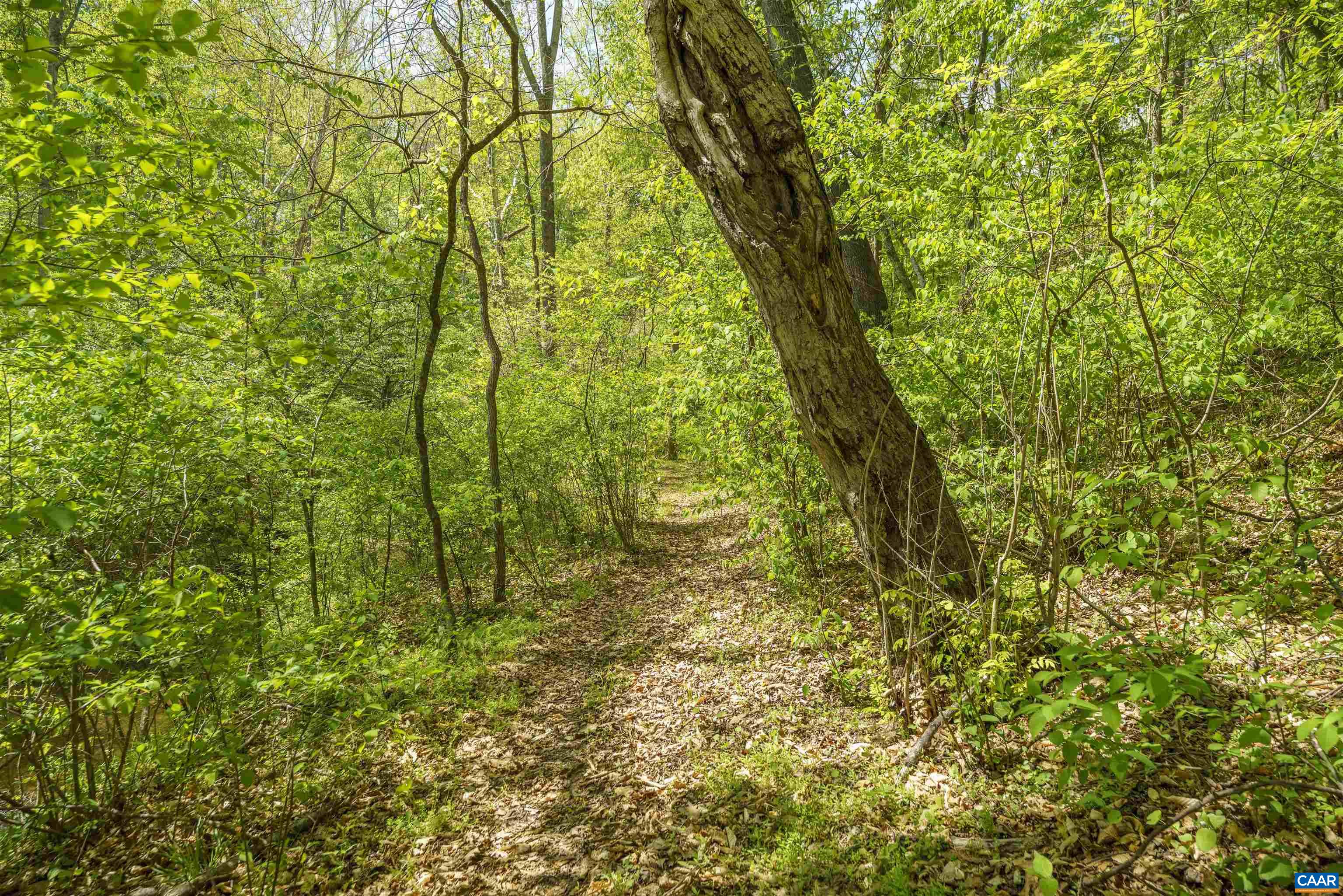 7530 Damon Road Schuyler, VA 22969 - Photo 61 of 72