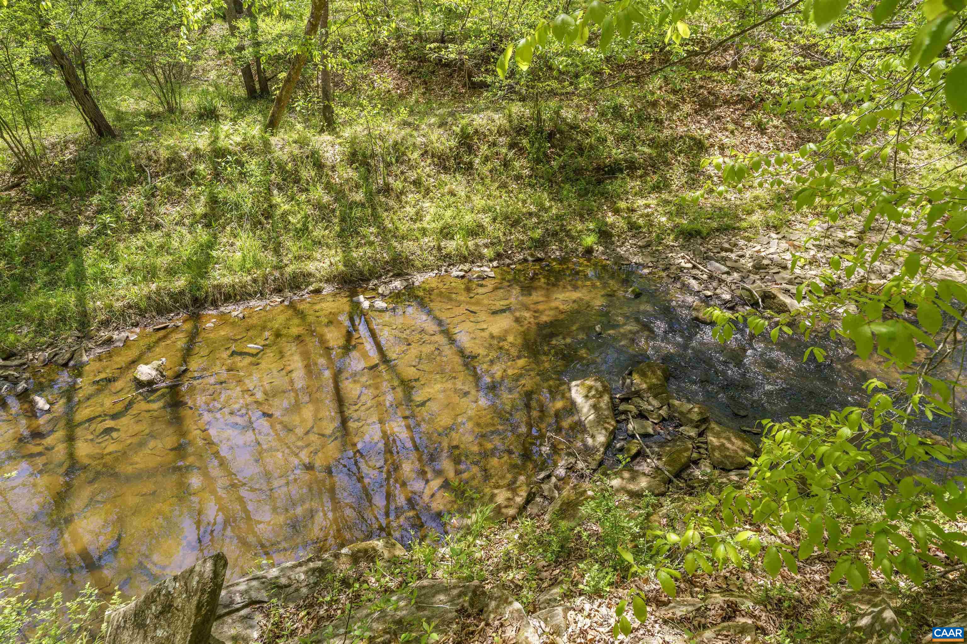 7530 Damon Road Schuyler, VA 22969 - Photo 64 of 72