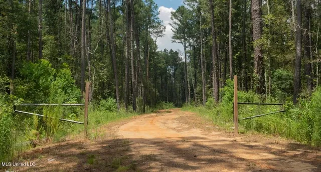 $307,200 | Ebenezer Church Road, Bassfield, MS 39421