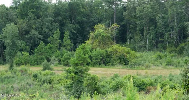 $307,200 | Ebenezer Church Road, Bassfield, MS 39421