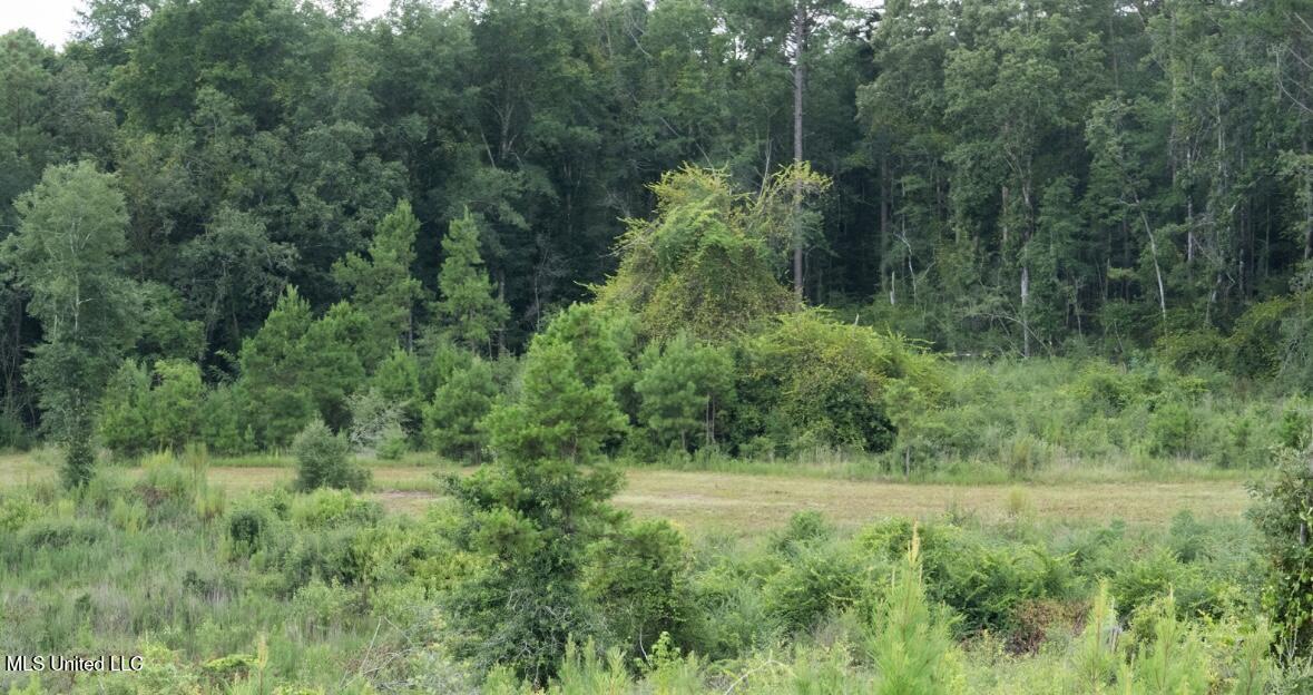 Ebenezer Church Road Bassfield, MS 39421 - Photo 11 of 15 IMG_1691