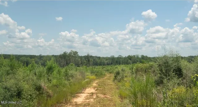 $307,200 | Ebenezer Church Road, Bassfield, MS 39421