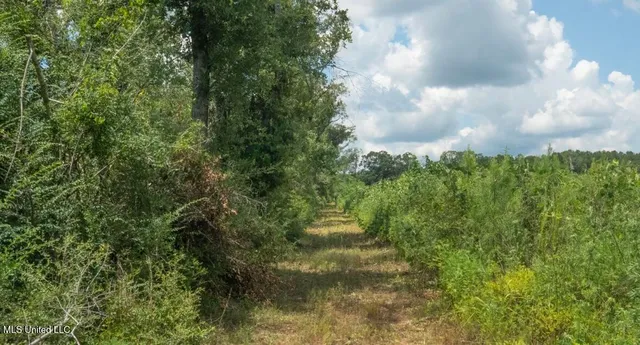 $307,200 | Ebenezer Church Road, Bassfield, MS 39421