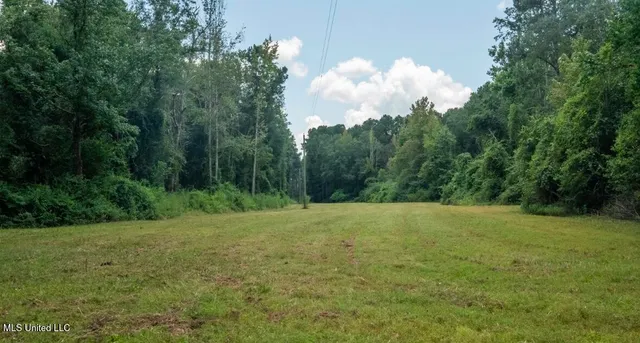 $307,200 | Ebenezer Church Road, Bassfield, MS 39421