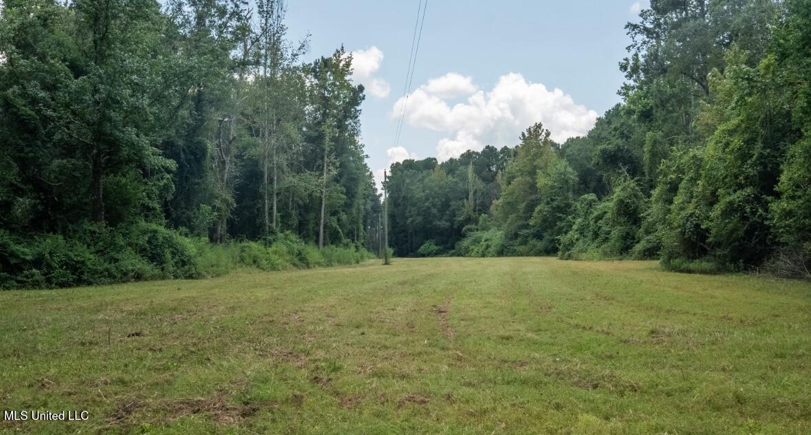 Ebenezer Church Road Bassfield, MS 39421 - Photo 14 of 15 IMG_1697