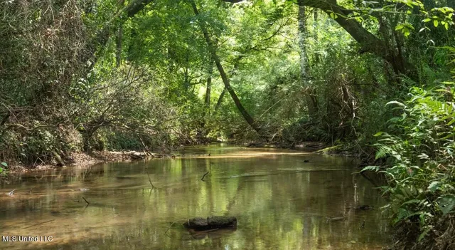 $307,200 | Ebenezer Church Road, Bassfield, MS 39421