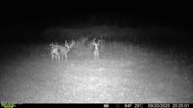 $307,200 | Ebenezer Church Road, Bassfield, MS 39421