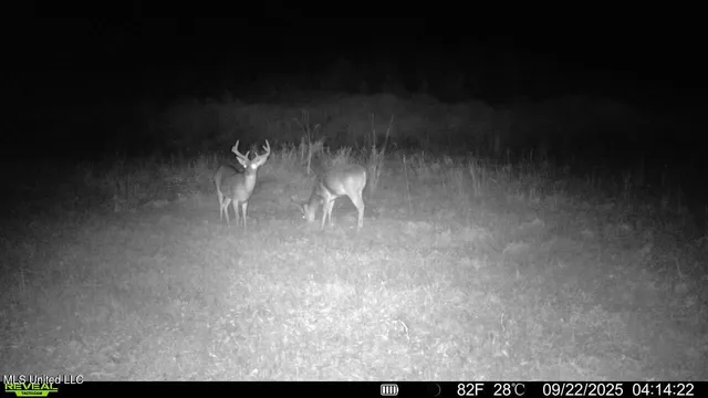 $307,200 | Ebenezer Church Road, Bassfield, MS 39421