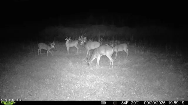 $307,200 | Ebenezer Church Road, Bassfield, MS 39421