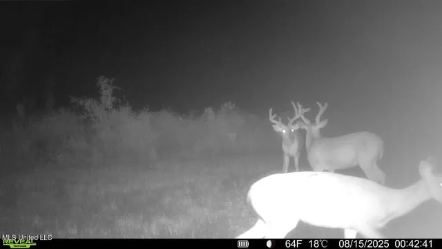 $307,200 | Ebenezer Church Road, Bassfield, MS 39421