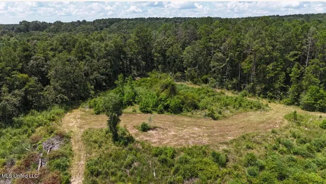 $307,200 | Ebenezer Church Road, Bassfield, MS 39421