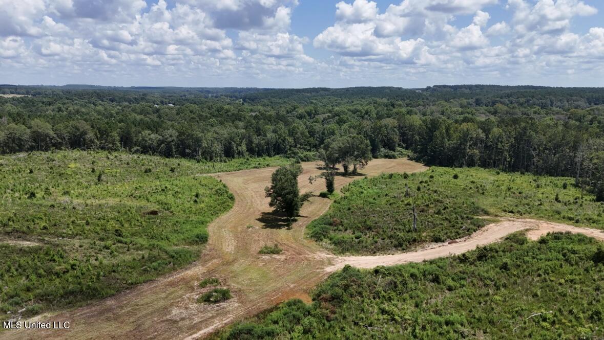 Ebenezer Church Road Bassfield, MS 39421 - Photo 8 of 15 IMG_1686