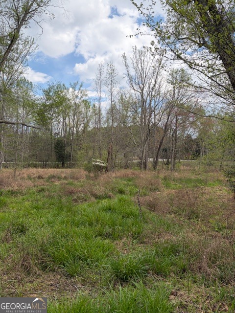 54 Coppermine Road Buchanan, GA 30113 - Photo 12 of 20