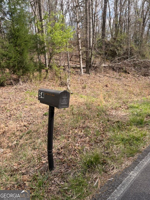 54 Coppermine Road Buchanan, GA 30113 - Photo 13 of 20