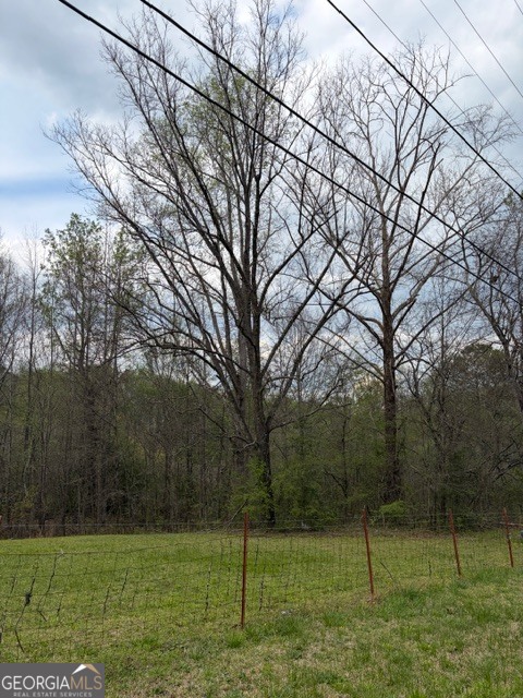 54 Coppermine Road Buchanan, GA 30113 - Photo 16 of 20