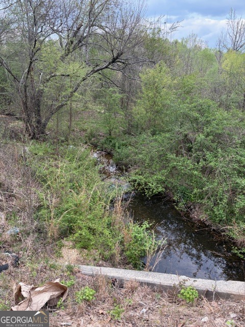 54 Coppermine Road Buchanan, GA 30113 - Photo 17 of 20