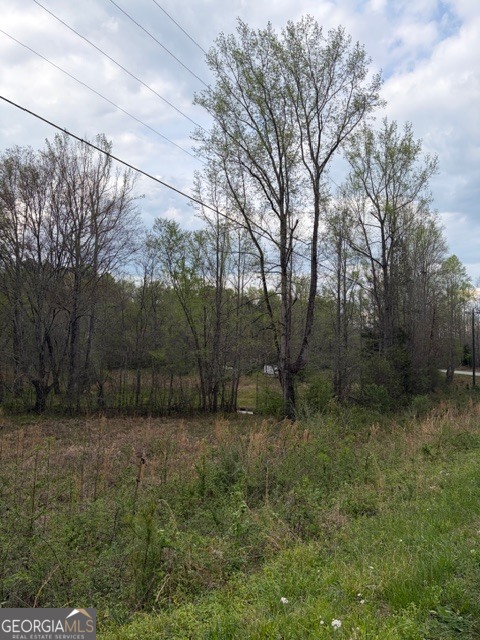 54 Coppermine Road Buchanan, GA 30113 - Photo 18 of 20