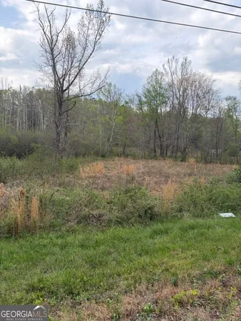 $65,120 | 54 Coppermine Road, Buchanan, GA 30113