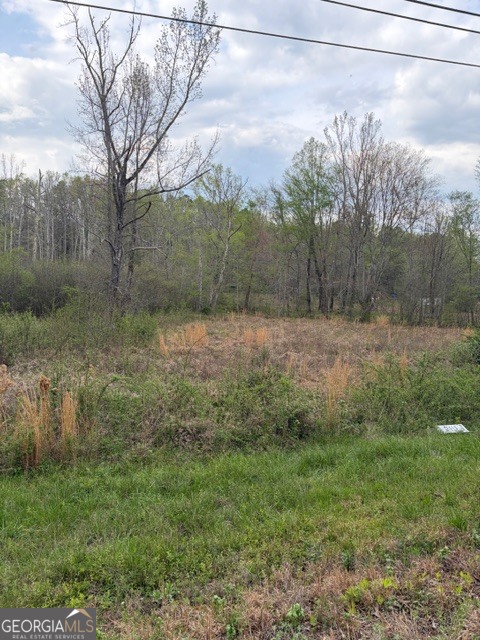 54 Coppermine Road Buchanan, GA 30113 - Photo 20 of 20