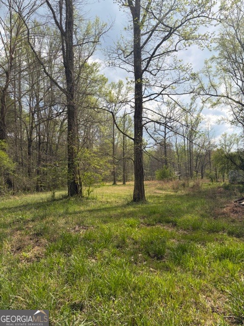 54 Coppermine Road Buchanan, GA 30113 - Photo 2 of 20