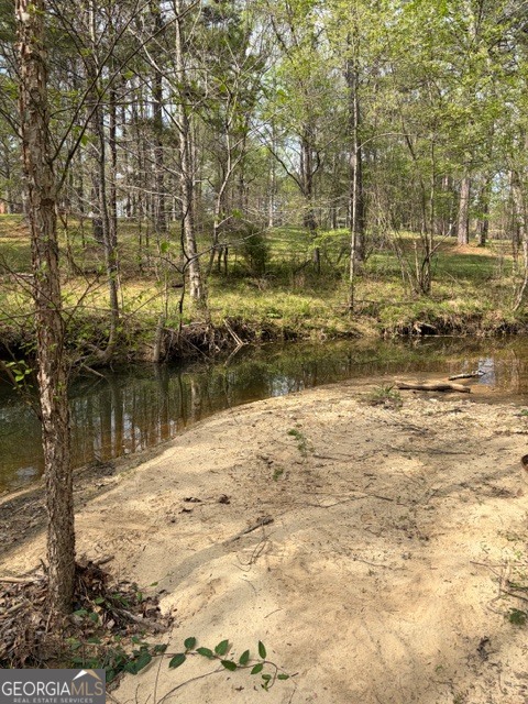 54 Coppermine Road Buchanan, GA 30113 - Photo 4 of 20