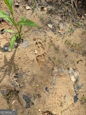 $65,120 | 54 Coppermine Road, Buchanan, GA 30113