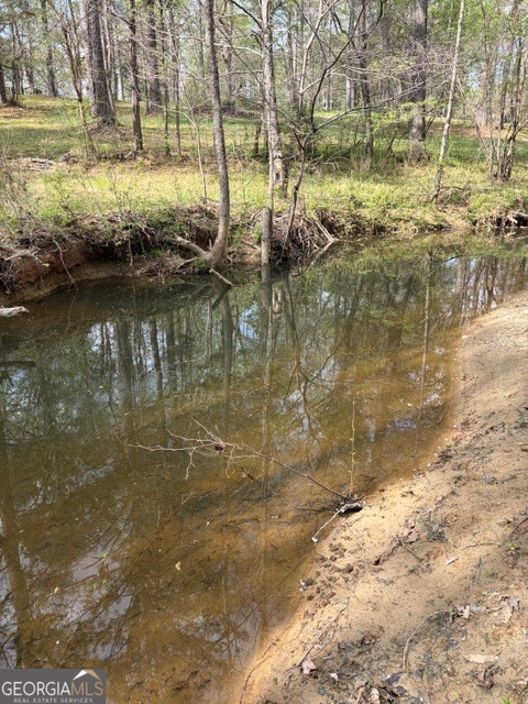 54 Coppermine Road Buchanan, GA 30113 - Photo 6 of 20