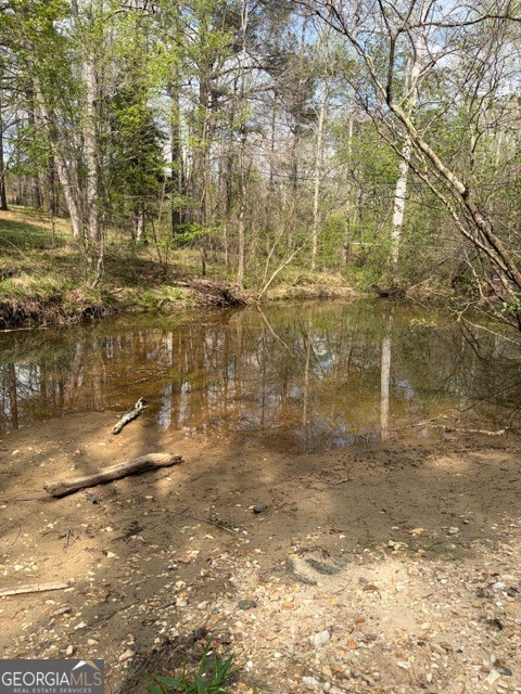 54 Coppermine Road Buchanan, GA 30113 - Photo 7 of 20