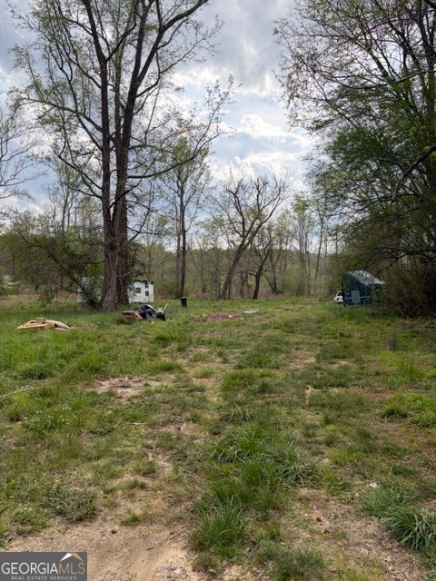 54 Coppermine Road Buchanan, GA 30113 - Photo 8 of 20