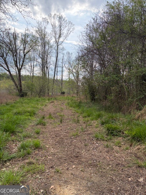 54 Coppermine Road Buchanan, GA 30113 - Photo 10 of 20