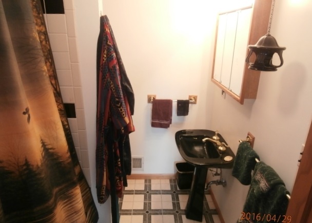 10951 East Remick Road St. Louis, MI 48880 - Photo 19 of 33 1815548-18.JPG