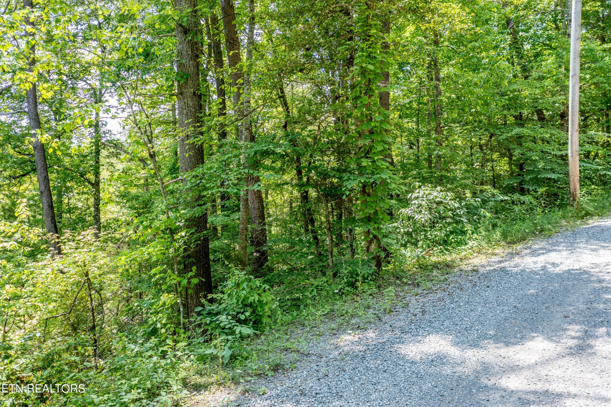 0 Chilhowee Loop Walland, TN 37886 - Photo 6 of 19 Gallery Image 6