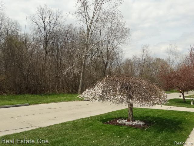 32065 Dixie Manor Road Rockwood, MI 48173 - Photo 22 of 24 DSC07394.jpg