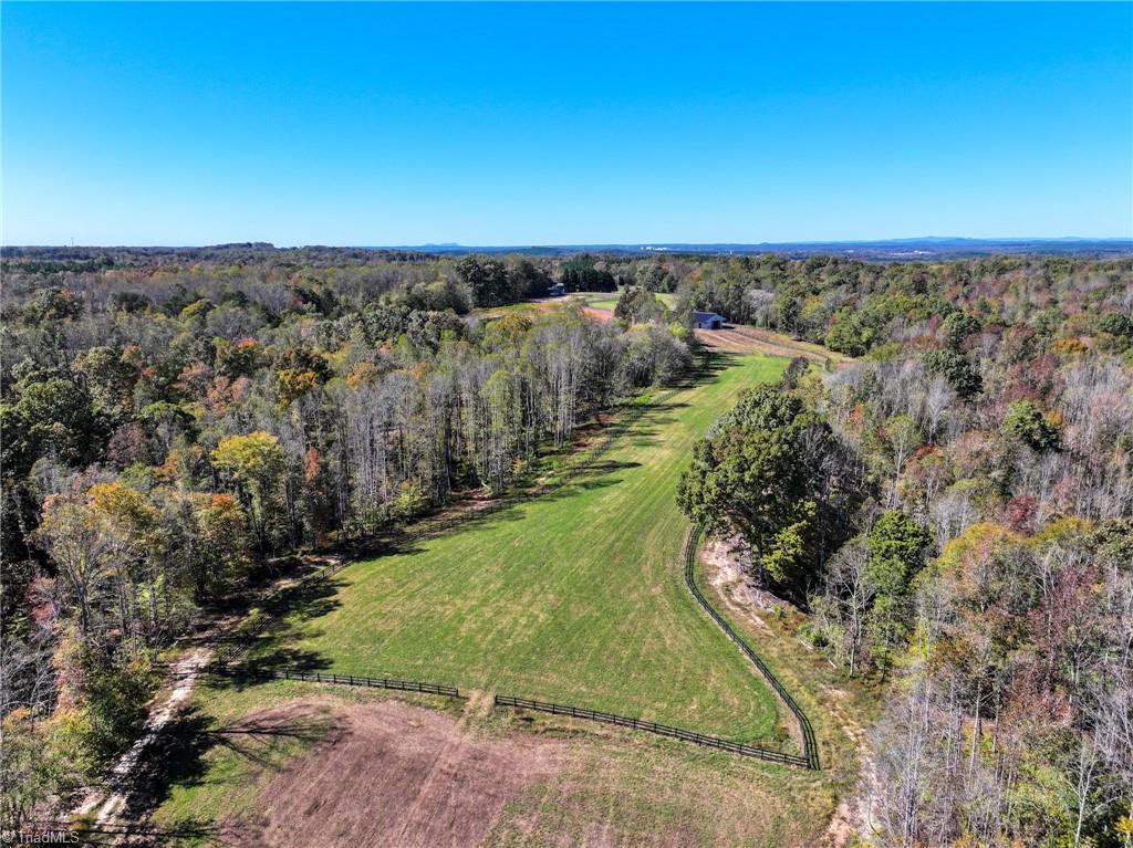 979 Perkinson Road Ruffin, NC 27326 - Photo 13 of 46