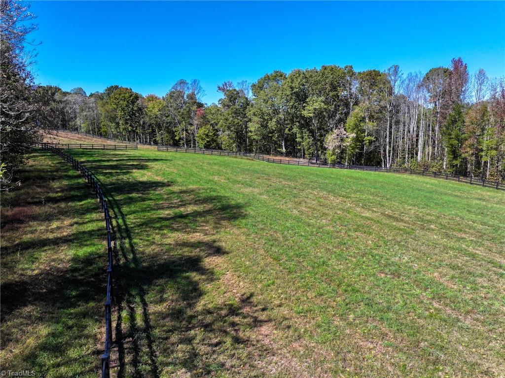 979 Perkinson Road Ruffin, NC 27326 - Photo 16 of 46