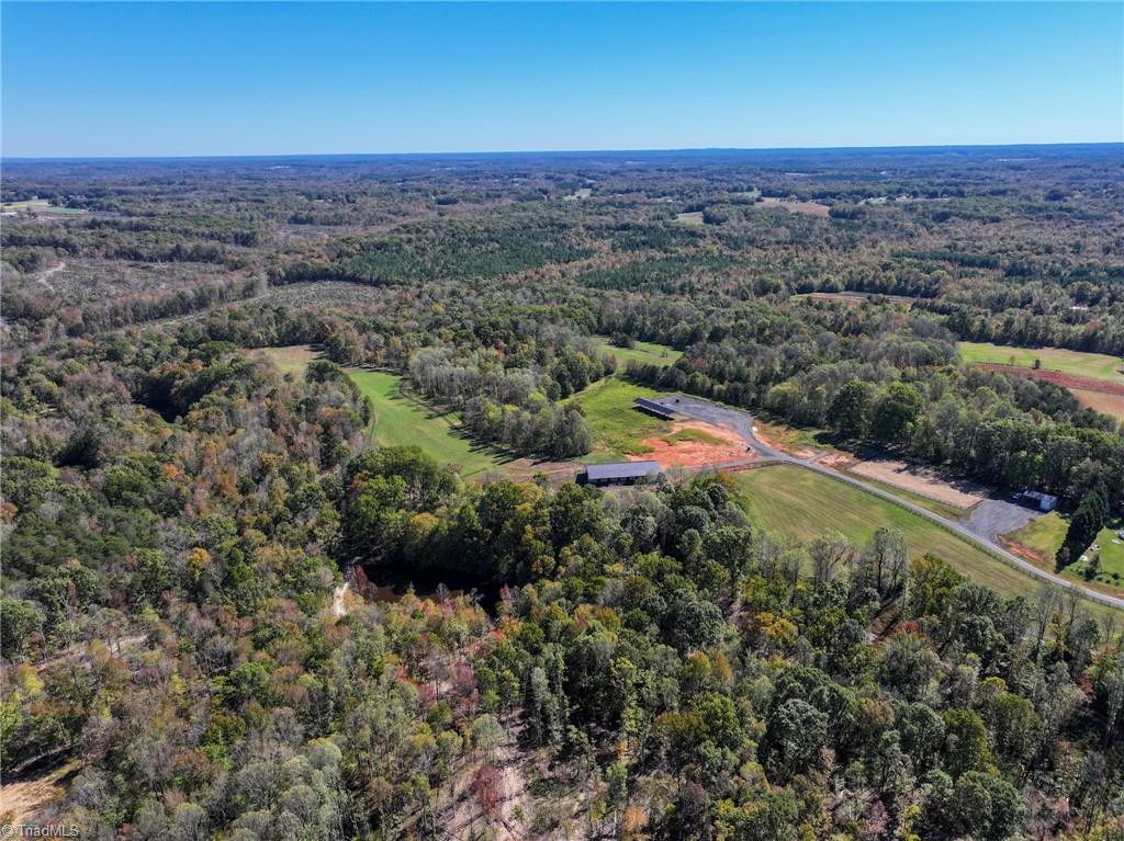 979 Perkinson Road Ruffin, NC 27326 - Photo 17 of 46