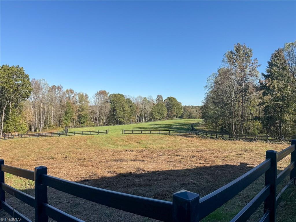 979 Perkinson Road Ruffin, NC 27326 - Photo 32 of 46