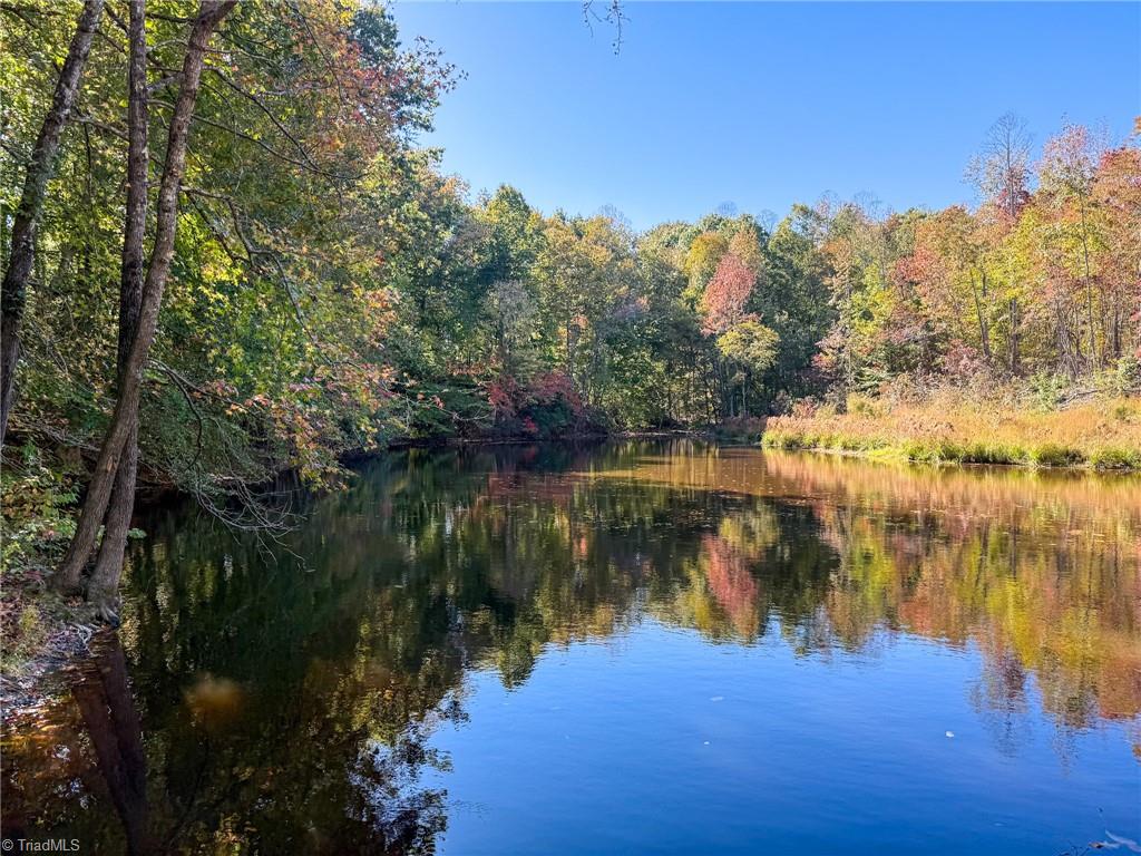 979 Perkinson Road Ruffin, NC 27326 - Photo 33 of 46