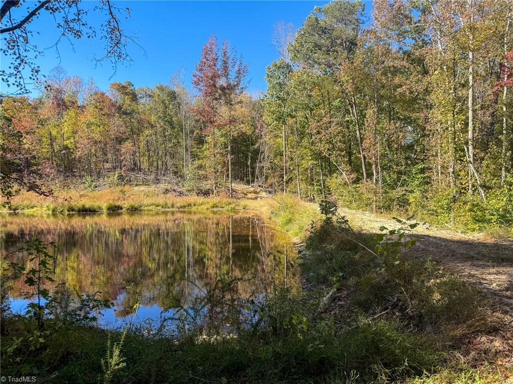 979 Perkinson Road Ruffin, NC 27326 - Photo 34 of 46