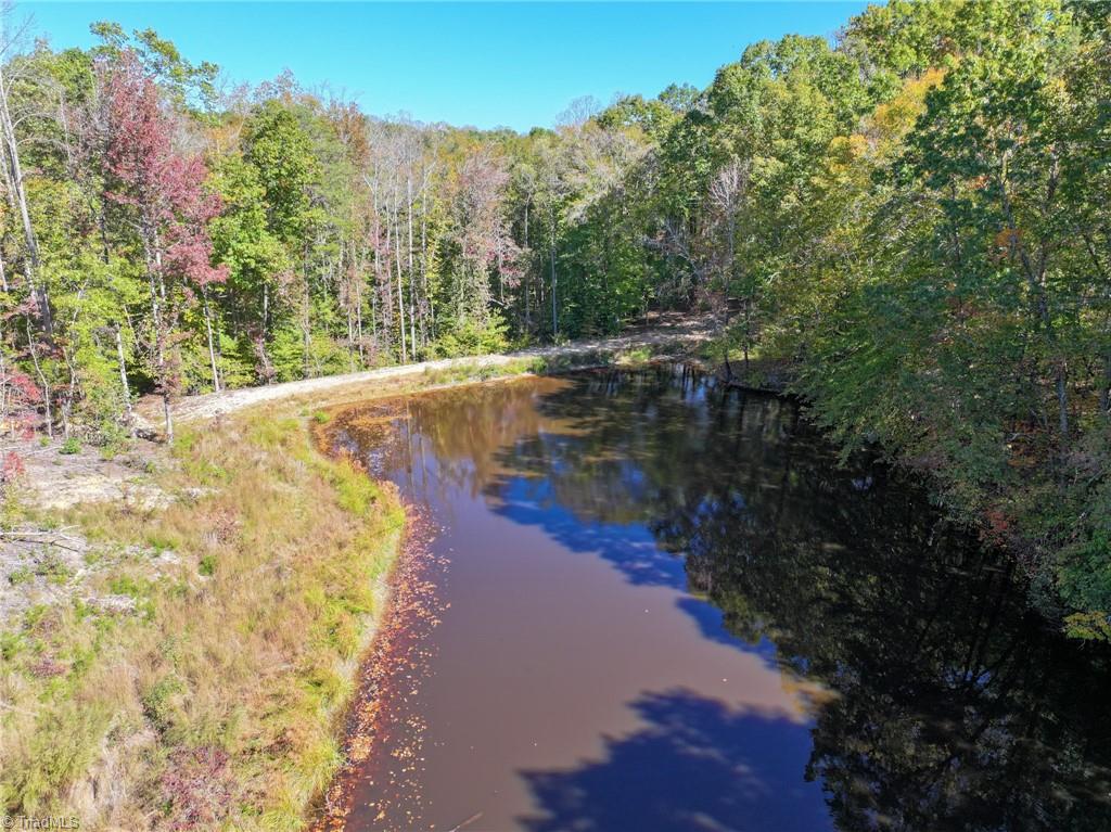 979 Perkinson Road Ruffin, NC 27326 - Photo 35 of 46