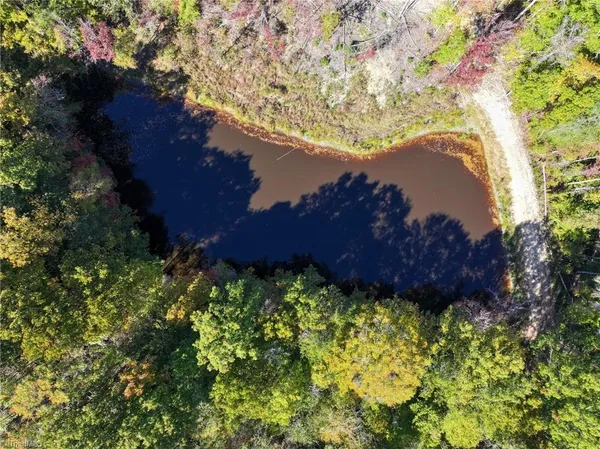 $750,000 | 979 Perkinson Road, Ruffin, NC 27326