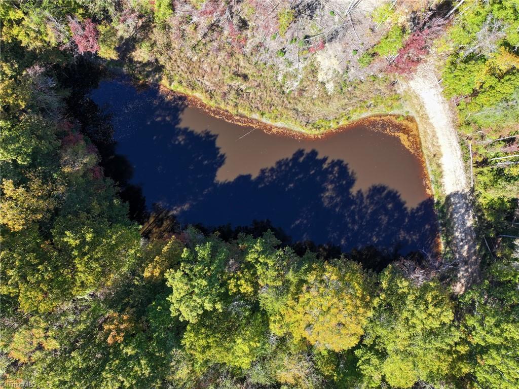 979 Perkinson Road Ruffin, NC 27326 - Photo 36 of 46