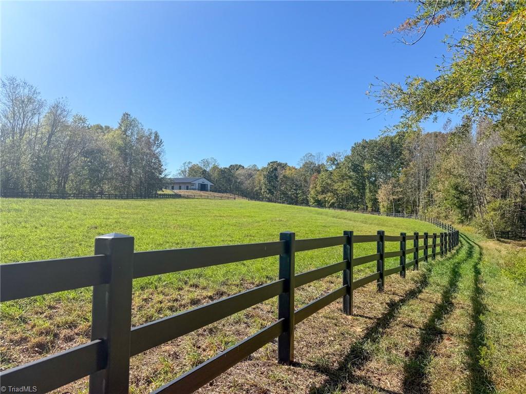 979 Perkinson Road Ruffin, NC 27326 - Photo 37 of 46