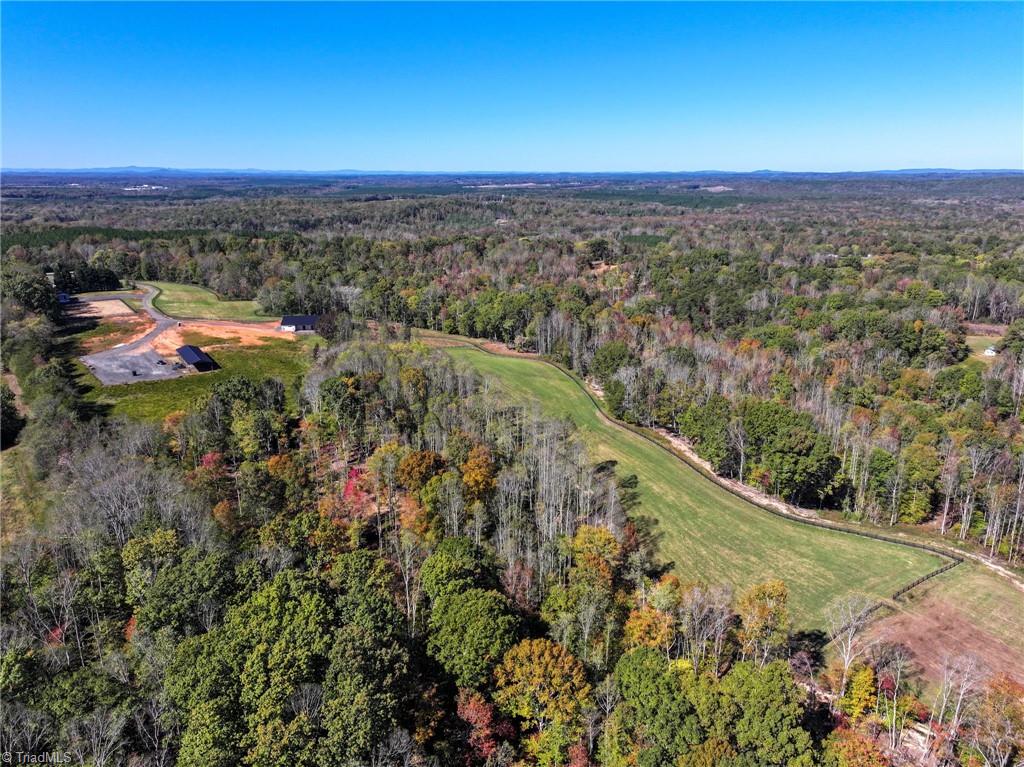 979 Perkinson Road Ruffin, NC 27326 - Photo 43 of 46