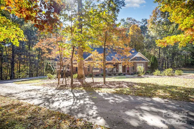 a street view with large trees