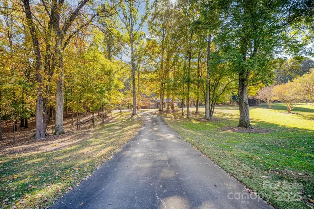 a view of a yard with plants and trees