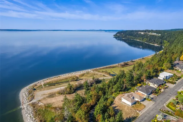 a view of a lake in middle of forest