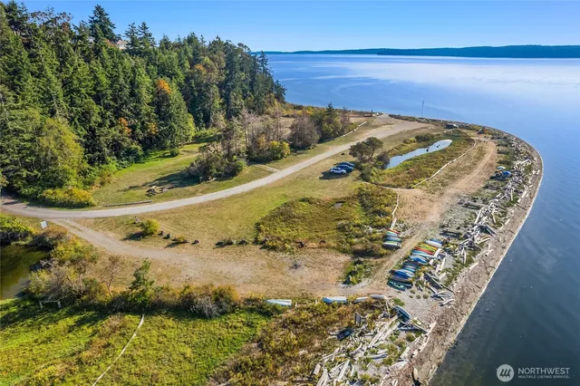a view of a garden with plants