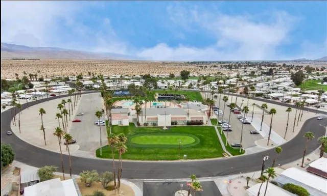 a view of a lake with palm trees